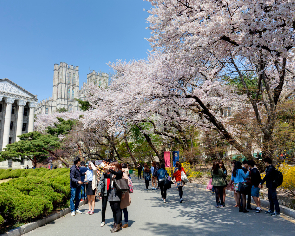 2-Popular Universities in South Korea